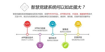 鼎維 以定制化與系統化方案，引領教育軟件創新開發